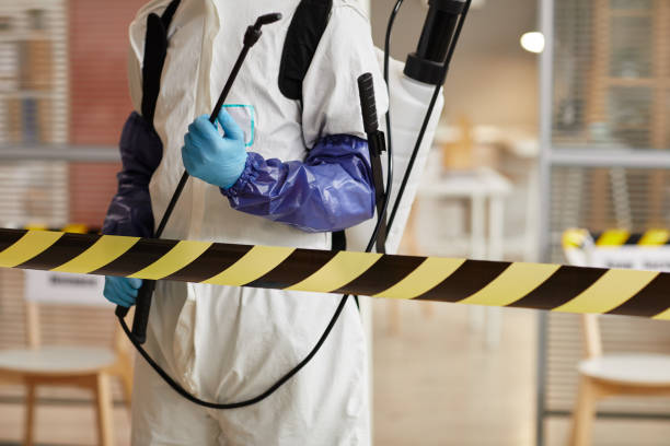 Professional Odor Removal technician working in Evansville, IN